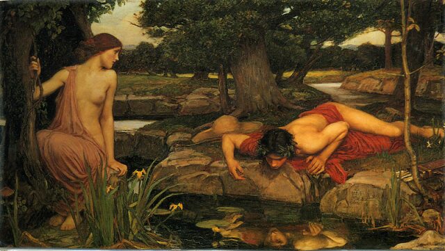 narcissus